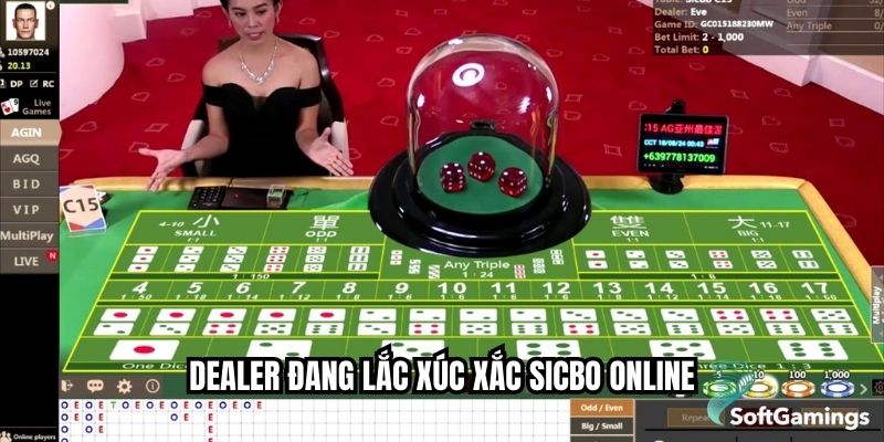 Dealer đang lắc xúc xắc sicbo online