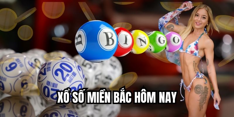 Xổ Số Miền Bắc Hôm Nay